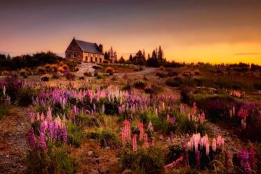 足場が取れた30坪平屋の外観公開